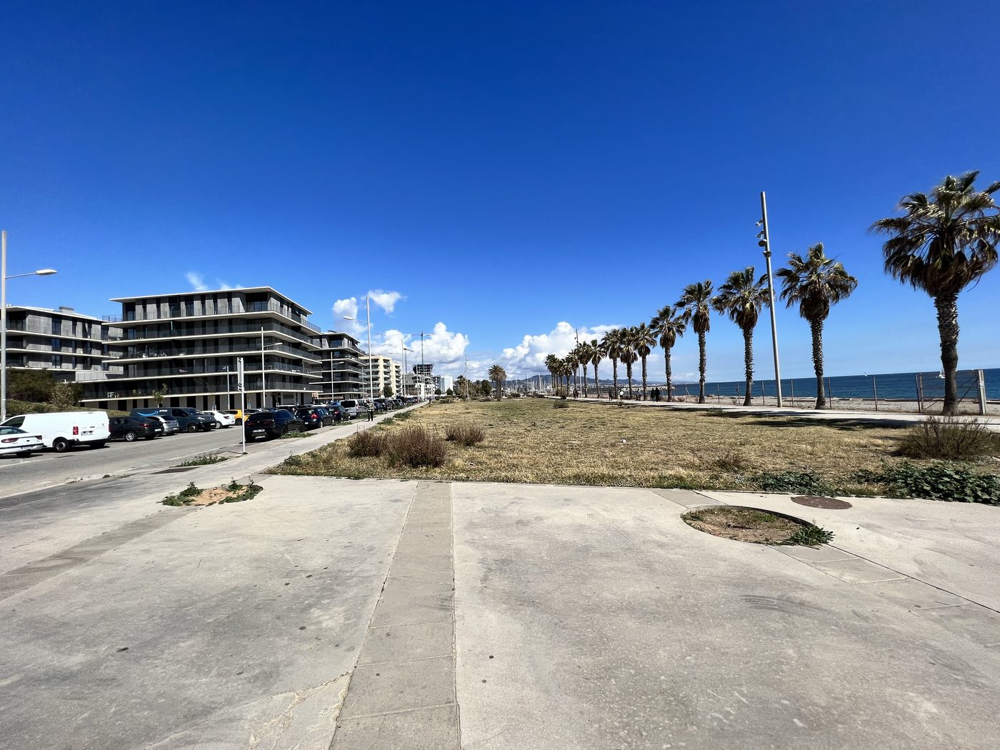 A palm-lined promenade on the Mediterranean coast, off-season and nearly empty.